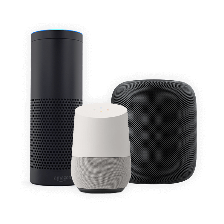 Market leading voice assistants