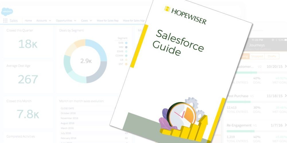 Salesforce Guide