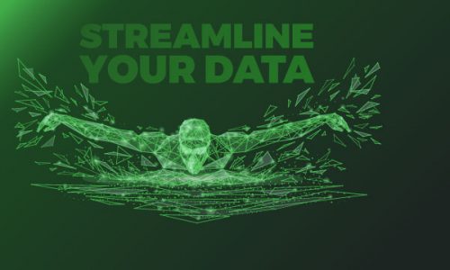 Swimming streamlining data cleansing