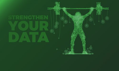 strengthen your addresses with data cleansing services