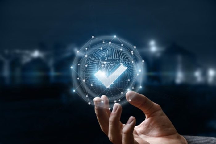 Data Quality Assessment