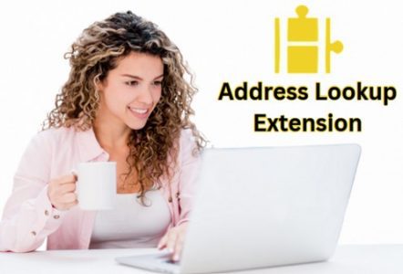 Address Lookup Browser Extension